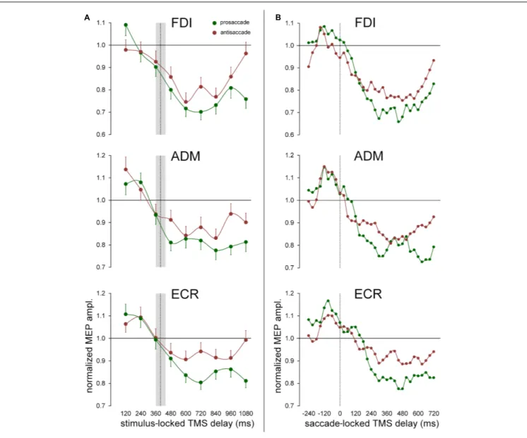 FIGURE 5 | Effect of the ocular task on mean MEP amplitudes. Green and red data points represent mean values across subjects for pro- and anti-saccades respectively, irrespective of gaze direction