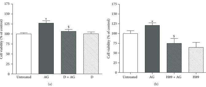 Figure 5: Effect of pretreatment with (a) D-Lys 3 -GHRP-6 (D, 10 −7 M, 30 min before AG) or (b) the PKA inhibitor H89 (2 × 10 −6 M, 30 min before AG) on the stimulatory action of ghrelin (AG, 10 −10 M) on rat osteoblast-like cells (rOB) viability