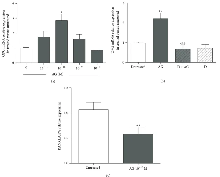 Figure 6: Effect of increasing concentrations of ghrelin (AG, 10 −11 M–10 −7 M) on osteoprotegerin (OPG) expression measured by real-time PCR at 24 h after AG treatment in primary cultures of rat osteoblast-like cells (a)