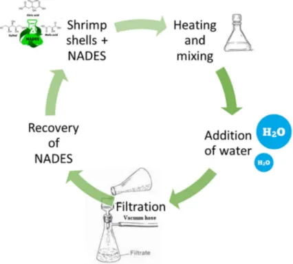 Figure 6. Green chitin extraction process with Natural Deep Eutetic Solvents (NADES). See text and  ref