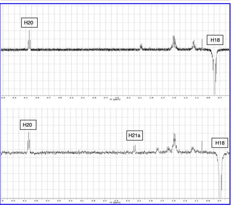 Figure 3. 1D NOE-NMR spectra of compounds 9 (top) and 11 (bottom) with selective band center irradiation on H18.