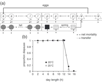 Figure 3 Submodel for diapause induction. (a) Age-structured models for the dynamics of nondiapause (open symbols) and diapause (dark  stip-pled symbols) egg (e), larval (l), pupal (p) and adult (a) stages with ﬂow from nondiapause age classes to same age 