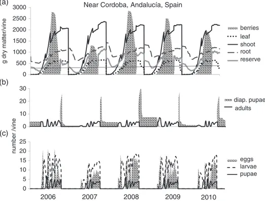 Figure 5 Simulation of the grapevine system dynamics near Cordoba (Andalucía region, Spain) (longitude −4.375, latitude 37.875) during 2006–2010