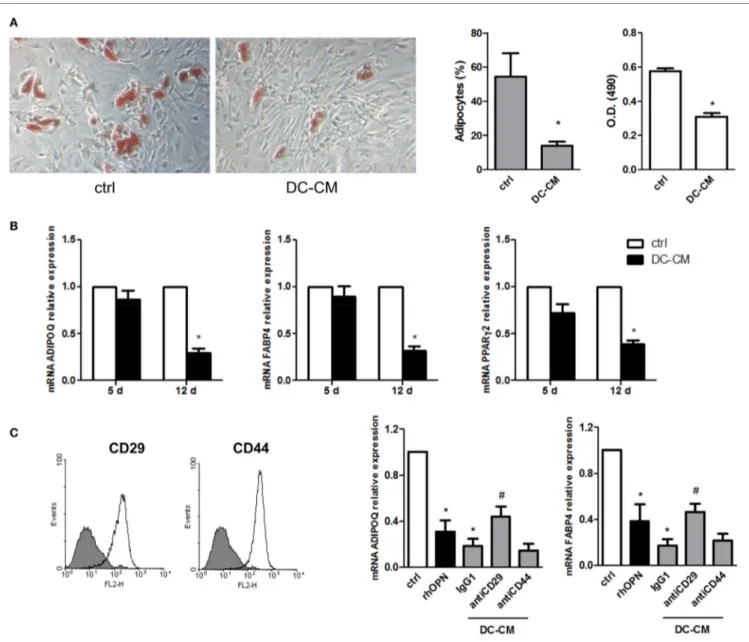 FigUre 3 | DC-conditioned medium inhibits mesenchymal stromal cells (MSC) differentiation into adipocytes through osteopontin release