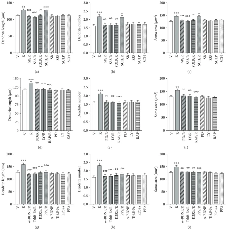 Figure 4: Structural plasticity induced by ropinirole in human iPSC-derived DA neurons is prevented by D3R antagonists, by MEK-ERK and