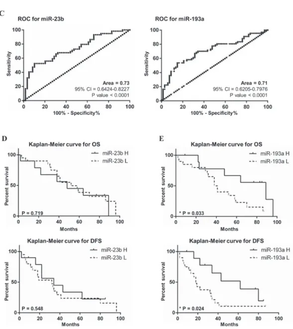 Figure 1: Expression of mature miR-23b and miR-193a in HCC and peritumoral specimens.  The expression of miR-23b  and miR-193a was detected separately by stem-loop qPCR in 59 and 67 HCC patients, respectively, from both HCC tissues and PT  samples