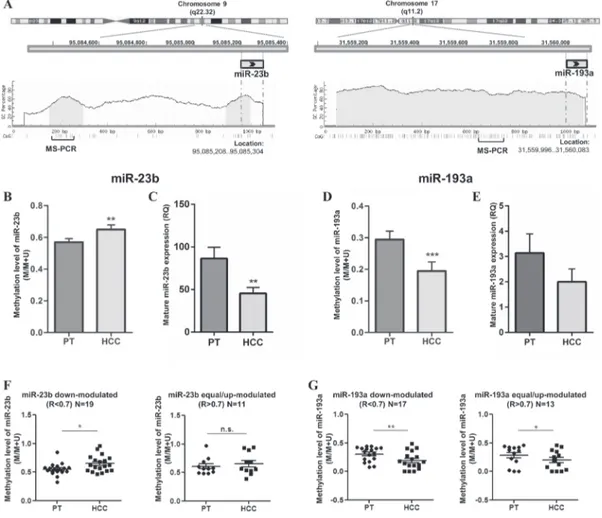 Figure 2: DNA methylation levels of miR-23b and miR-193a and relative expression in primary HCCs (N=30)