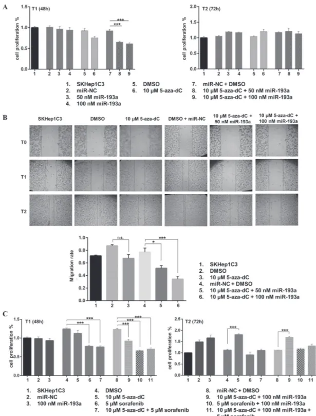 Figure 5: Ectopic expression of miR-193a in combination to 5-aza-dC treatment decreased proliferation and migration  abilities of SKHep1C3 cells