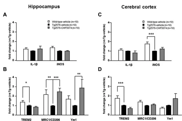 Fig. 1. Eﬀect of CHF5074 on pro-inﬂammatory and anti-inﬂammatory/phagocytic transcripts in the hippocampus and cerebral cortex of 5-month-old Tg2576 mice