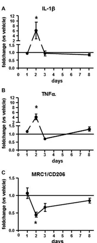 Fig. 2. Evaluation of Ab 42 treatment on M1 and M2 markers levels in
