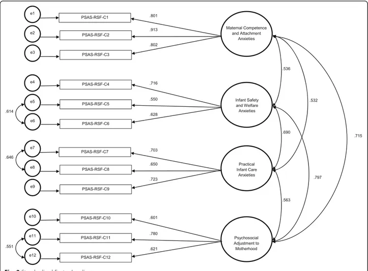 Fig. 2 Standardised Factor Loadings