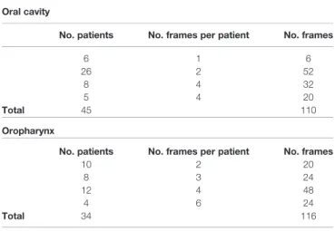 TABLE 2 | Investigated datasets for mucosal SCC segmentation task and corresponding amount of mean percentages of lesion pixels per frame and relative standard deviations.