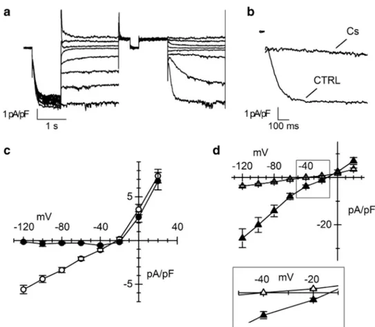 Fig. 3    Characterization of the  ionic nature of I f  current. a 