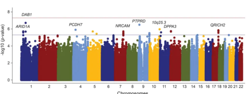 Figure 1 Association of genome-wide single nucleotide polymorphisms with white matter hyperintensity volume in ischemic stroke patients by genomic position