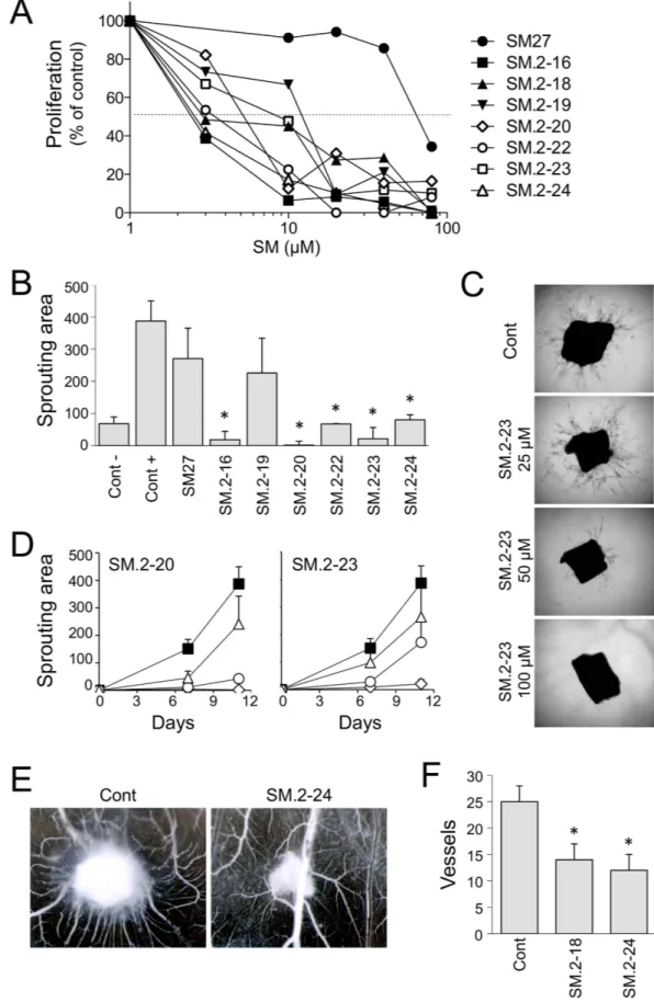 Figure 4.  Biological activity of the selected hits. (A) Endothelial cell proliferation