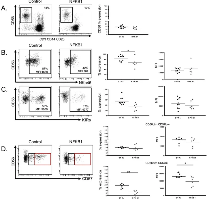 Fig. 2. Evaluation of peripheral NK cell phenotype from NFKB1 mutated patients. A. Representative dot plots showing percentages of CD56 +