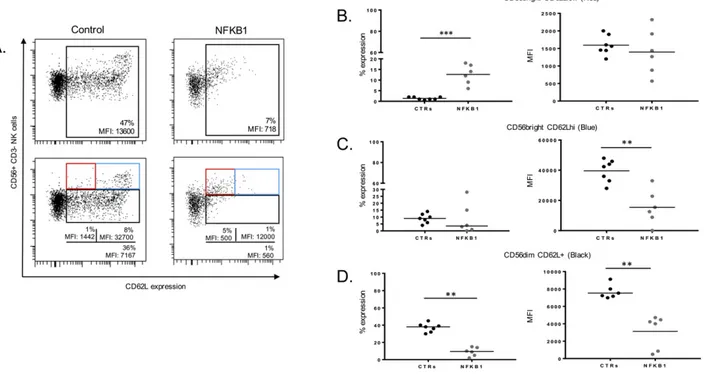 Fig. 3. Expression of CD62L on NFKBI mutated human NK cells. A. Representative dot plots showing expression of CD62L on CD56 + NK cells from a healthy control and an NFKB1 mutated