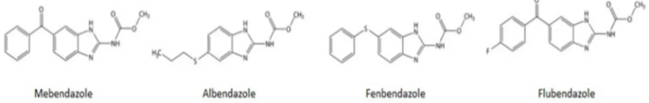 Figure 1. Chemical structures of benzimidazole anthelmintics commonly prescribed for human  (mebendazole and Albendazole) and veterinary (Fenbendazole and Flubendazole) use