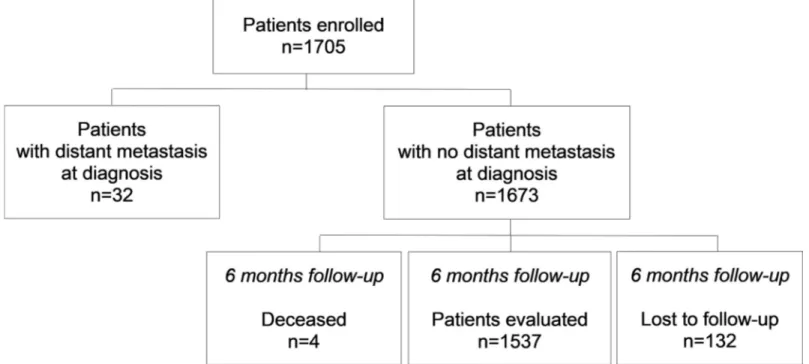 Fig 1. Patients enrolled in the Pros-IT CNR study from prostate cancer diagnosis to the 6 months follow-up.