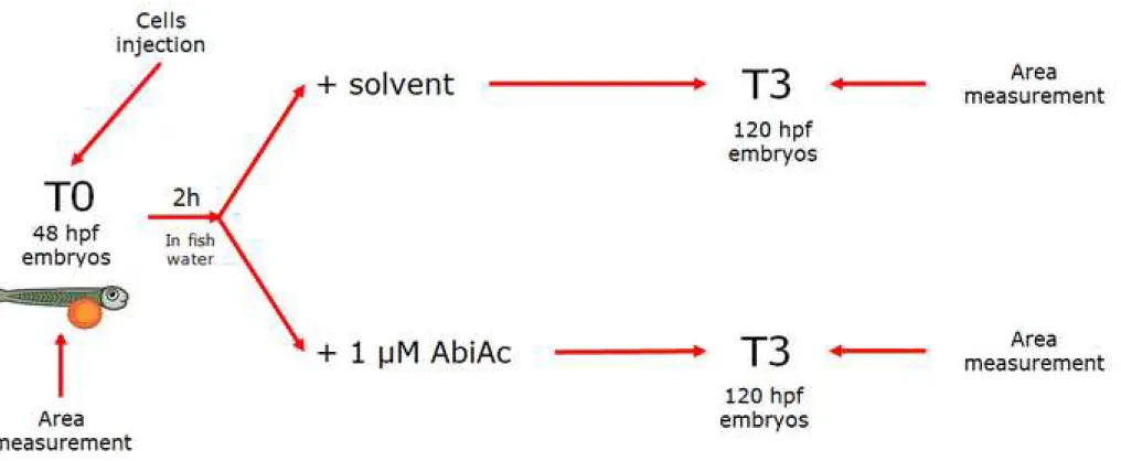 Figure 1 rev Click here to access/download;Figure;Fig. 1 rev.tif