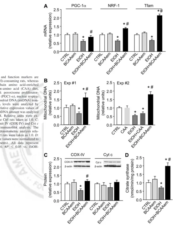 Fig. 3. Mitochondrial biogenesis and function markers are decreased in liver of ethanol (EtOH)-consuming rats, whereas supplementation with branched-chain amino acid-enriched mixture (BCAAem), unlike casein-amino acid (CAA) diet, restores them to control l
