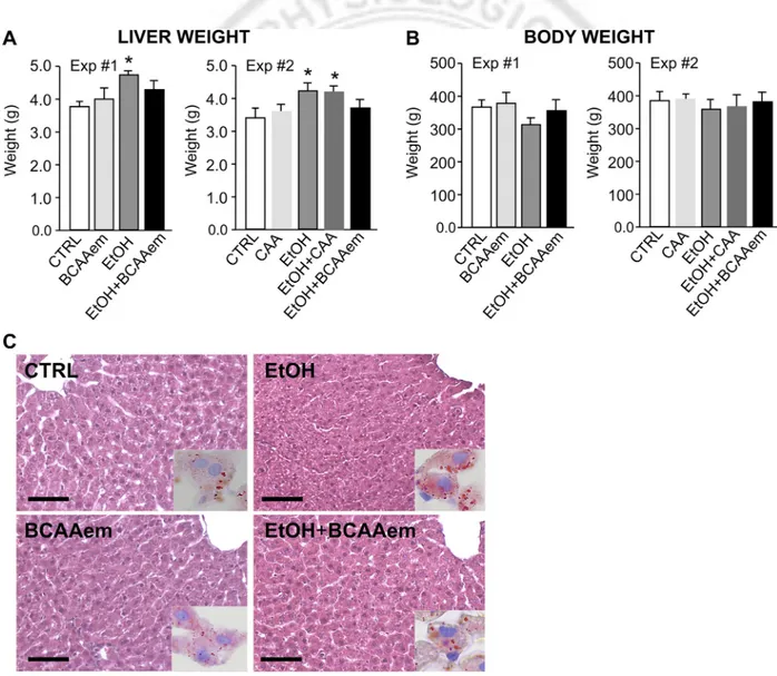 Fig. 1. Branched-chain amino acid-enriched mixture (BCAAem) supplementation normalizes liver and body weight of ethanol (EtOH)-consuming rats