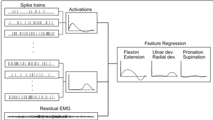 Fig. 3 Regression of neural features. The EMG was decomposed into motor unit action potentials, which were grouped according to their correlation (see text), and used to estimate activations, as shown in Fig