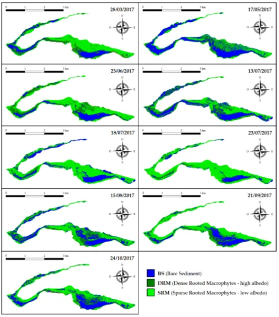 Figure 3. Spatial distribution of the three bottom cover classes [(BS, dense rooted macrophytes (DRM), 