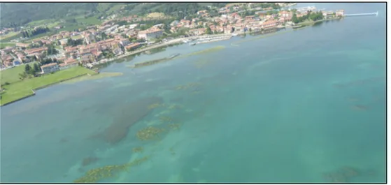 Figure 4. Aerial picture of the area in front of the Clusane harbor (5 August 2017, courtesy of A