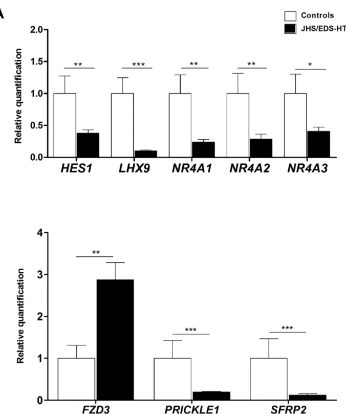 Fig 4. qPCR validation of different transcription factors and genes related to the Wnt signaling