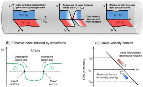 Figure 1.  Illustration of the optical ODRW solution of the vector nonlinear fiber-analog system