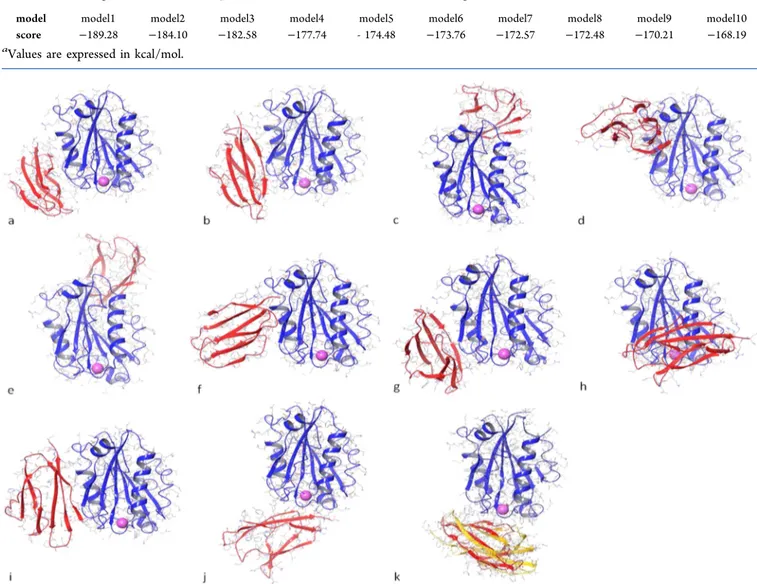 Figure 1. Overall representation of the protein−protein complexes obtained through docking studies and by protein structure alignment (a: model1, b: model2, c: model3, d: model4, e: model5, f: model6, g: model7, h: model8, i: model9, j: model10, k: model0 