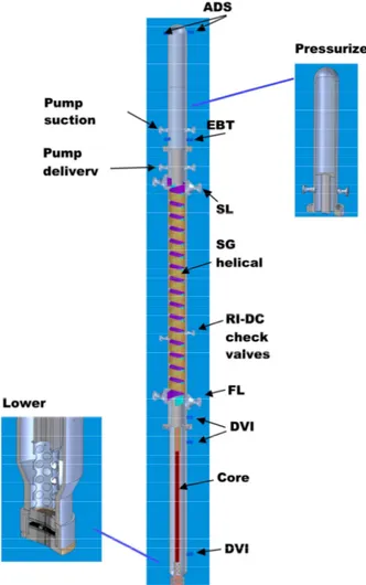 Figure 5 SPES-3 Reactor Pressure Vessel 