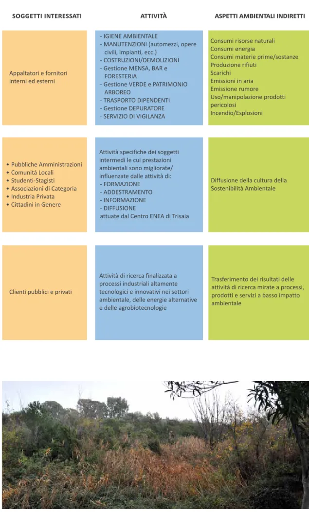 Figura 16: area umida con piante tipiche della macchia mediterranea