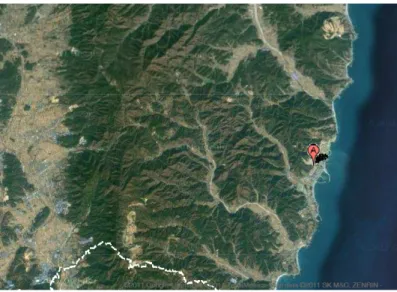 Figura 4 – immagine aerea della località Naa-ri in cui sorge il deposito low-medium level waste  della Repubblica di Corea 