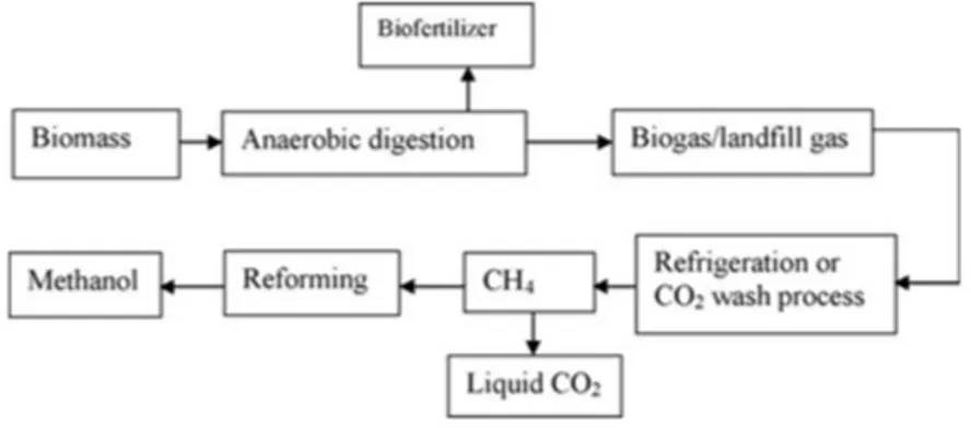FIGURE 10 Anaerobic digestion followed by reforming process for production of methanol  
