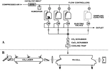 Figure II.1: The ethylene detection set-up. A) gas flow system. B) laser-