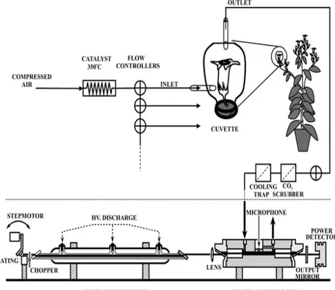 Figure III.1: Experimental set-up for the photoacoustic measurements of C 2 H 4 emitted from tobacco flowers