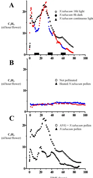 Figure III.2:  Ethylene production upon self-pollination in tobacco.  