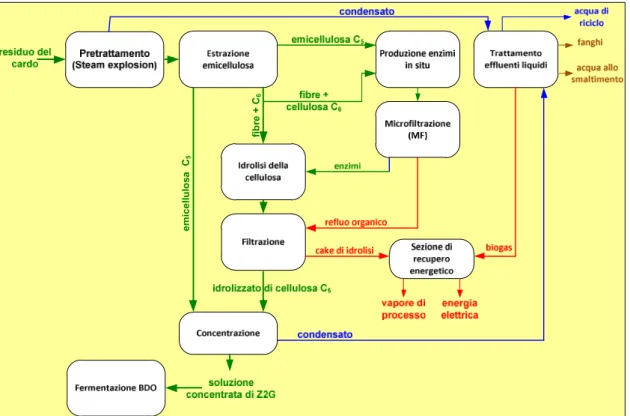 Figura 3-1 Layout di processo per la produzione di Z2G da cardo 