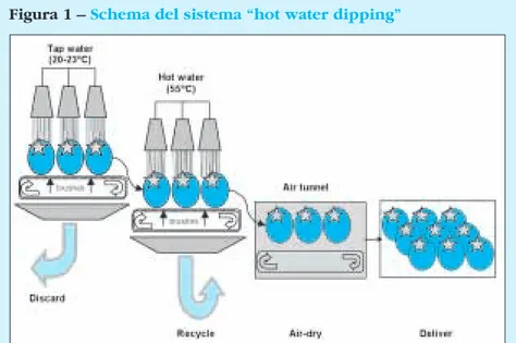 Figura 1 –  Schema del sistema “hot water dipping”