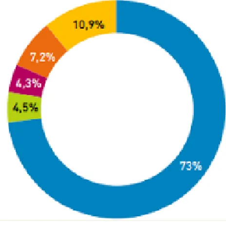 Figura 2.6  Ripartizione della potenza efficiente lorda installata in Italia (in %) per tecnologia impiegata  negli  impianti  termoelettrici  convenzionali  con  produzione  combinata  di  elettricità  e  calore  (100%=23,199 GW) al 31 dicembre 2013 