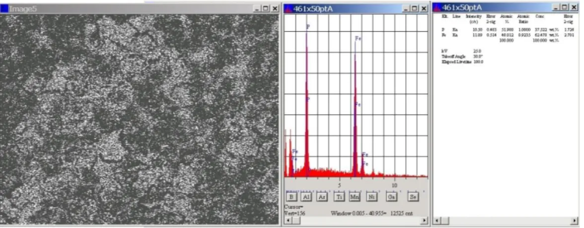 Figura 17. Micrografia a piccolo ingrandimento (X50) del campione, analisi EDS e composizione percentuale in ferro e  fosforo 