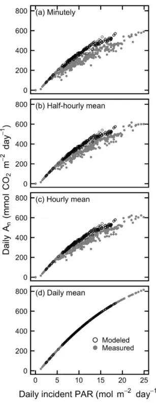 Fig.  3  Measured  and  modeled  daily  A n   as  a  function  of  daily  incident  PAR