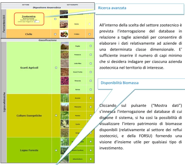 Figura 6 Pubblica Amministrazione: Scelta delle  biomasse 