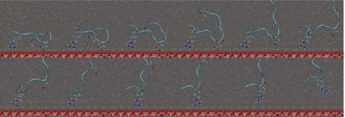 Figure 5: Snapshots of the dissociation pathway (from the top left to the bottom right) of the peptide from the TIO 2 surface.