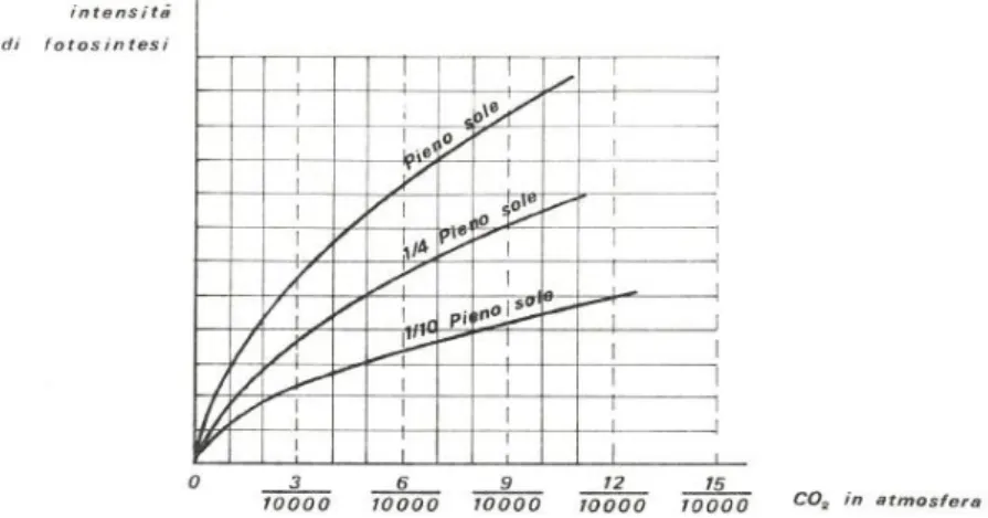 Figura 8. Relazione tra fotosintesi e contenuto di CO 2  in atmosfera 