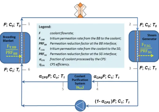 Figure 2. Simplified scheme of the coolant loop and CPS used for tritium mass balance