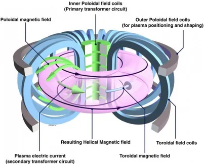Figure 1. The tokamak: magnetic field coils and the resulting field able to confine  the plasma