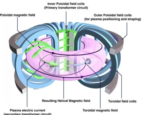 Figure I.1: The tokamak: magnetic field coils and the resulting field able to confine the plasma
